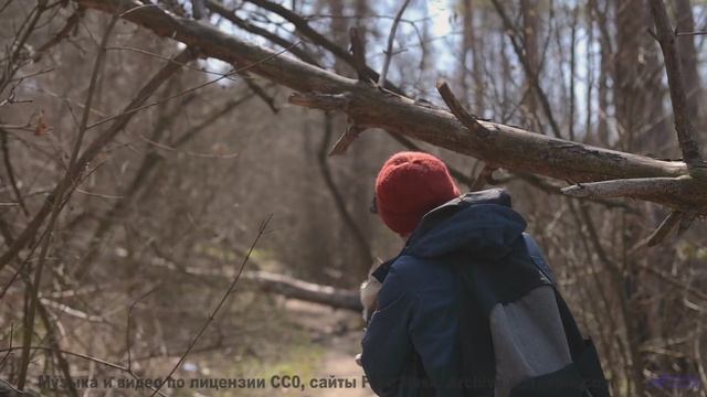 Природные явления, которые не может объяснить наука! - asianna -- Jean Toba -- a land where the poet