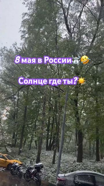 С Новым Годом☃️❄️  #saneka  #солнцегдеты