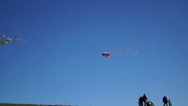 Северное море  лето