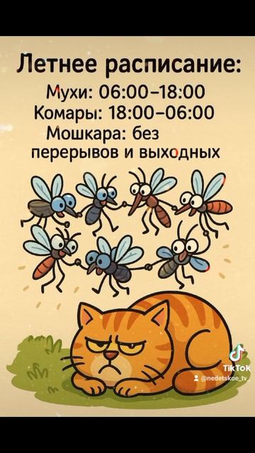 Летнее расписание!