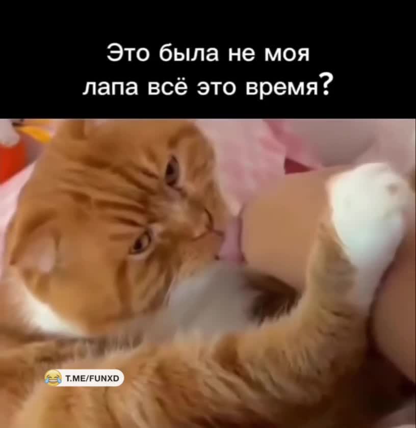 Немного перепутал😆