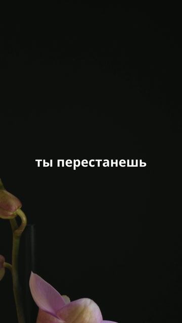 Мудрец однажды сказал...