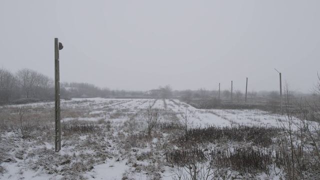 SKIN - Cold Bed