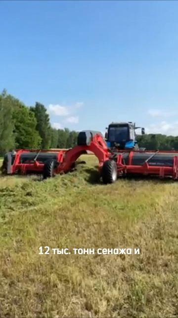 Заготовка кормов первого укоса в эксбазе «Криничная»