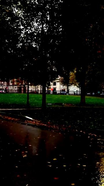 Камера засняла магический момент
