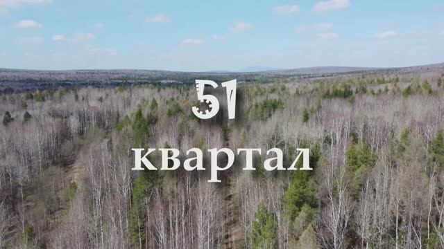 Квартал 51 лето