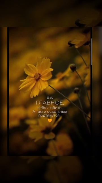 Доброе утро #доброеутро #благодарность