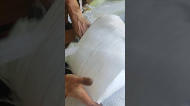 VID_20240907_132203