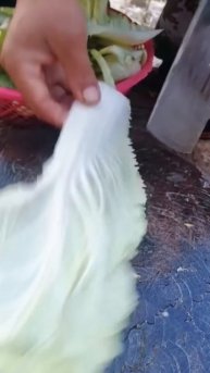 Chop the white mustard greens #shorts