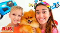 Влад и Ники и Весёлые истории про животных! Видео для детей.