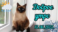 Доброе☀️утро🌧️15-06-2025 #поговорим #жизнь инвалида #задумка