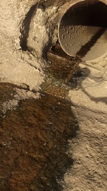 VID_20250410_190035.mp4