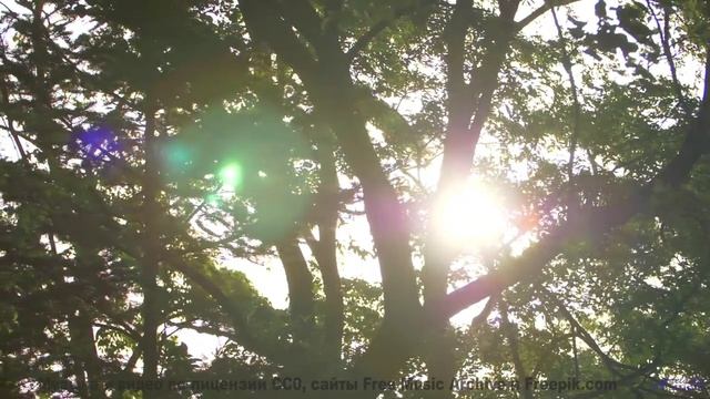 Природа звучит как никогда честно под этот саунд - One In The Same -- Derek Clegg -- Solar