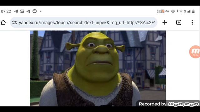 Шрека выписали из больницы 15.06.2025