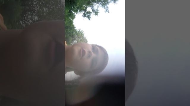 Алису кошка мяу потерялась 😰