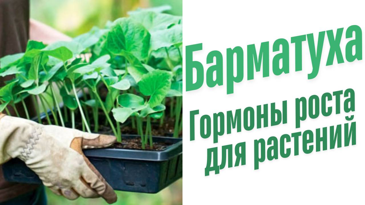 Гормоны роста для растений.