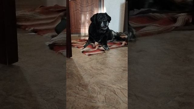 Вечерние разговоры