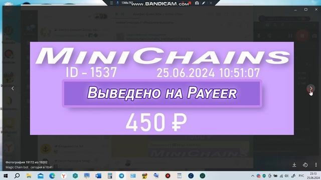 #живаяочередь #MiniChains Выплаты партнёров 25 июня 2024 год
