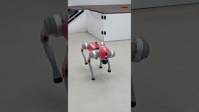 Выступление робот собаки на ВДНХ