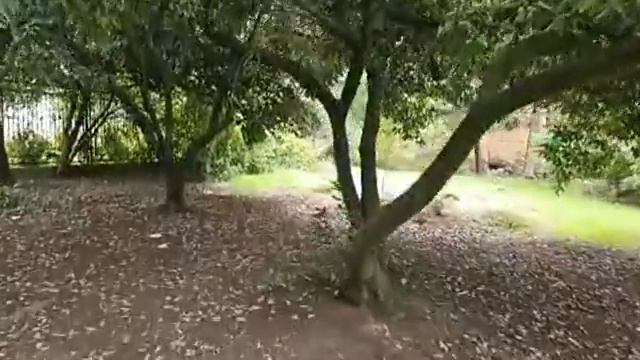 Мы хотим к вам. Аня и Саша Алеут прощены.