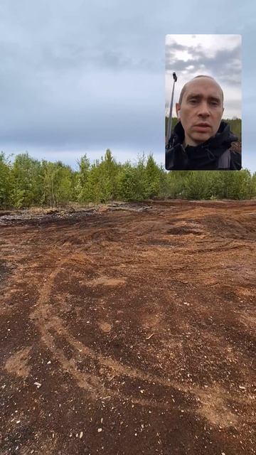 Свалка лигнина от гидролизного завода, уже всё заросло