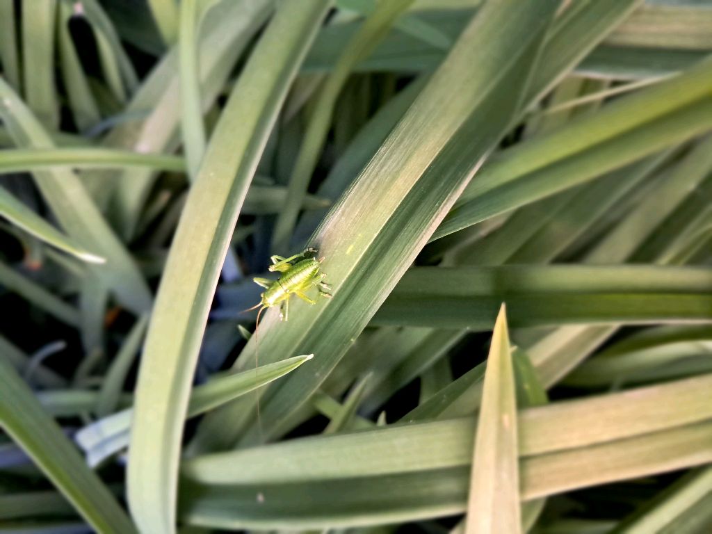 больно не больно