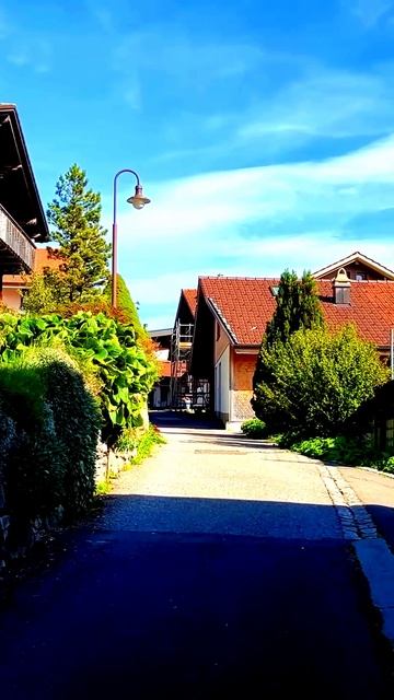 В объективе: самые яркие события