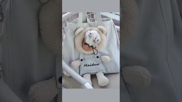 1000024295.mp4