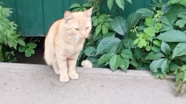 1000008565.mp4 😺