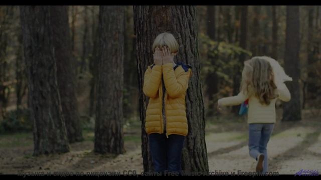 Почувствуйте, как стресс растворяется под этот саундтрек! - Zebra -- A. A. Aalto -- Connections