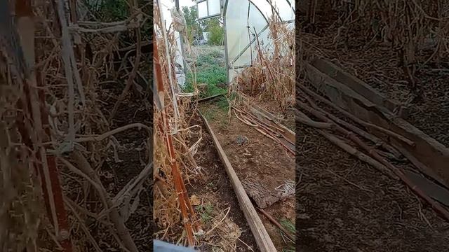 Ремонт и подготовка теплицы у Надежды Васильевны