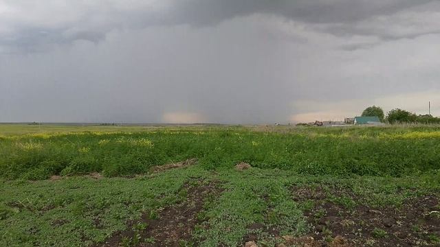 Лето в Сибири