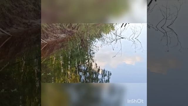 небольшое путешествие на лодках.было много хорошего и в конце сюрприз.