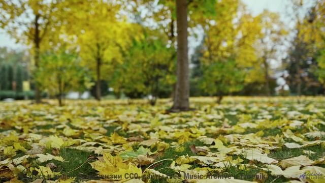 Эта музыка звучит как обещание новых приключений вдвоём - People Change -- Hope and Social -- Yorksh