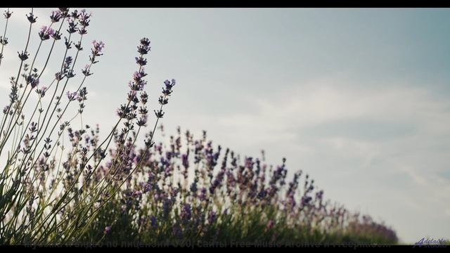 Это видео ВЫЗОВЕТ у тебя мурашки! - Departed Jewels of the Preeminent Antiquated Firmaments -- Julia