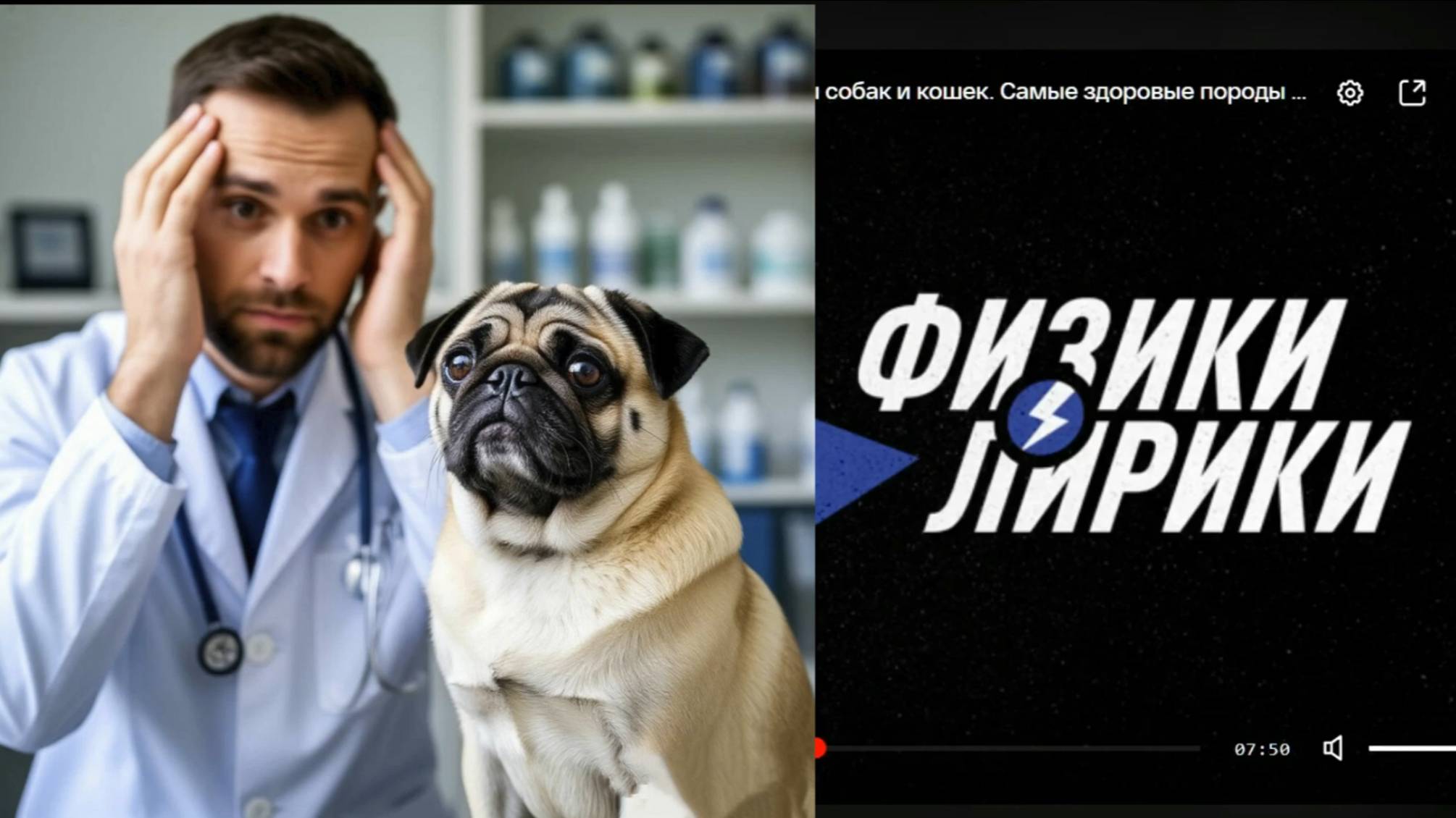 Здоровые породы собак и кошек. Поговорим о важном...
