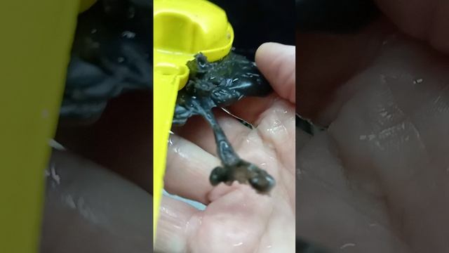 что не до снято за неделю?