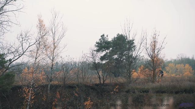 Этот клип - сама любовь, без него мир тускнеет! - Flowers Dont Say Anything, They Just Think -- One
