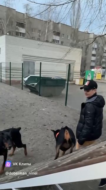 Яра и Нара