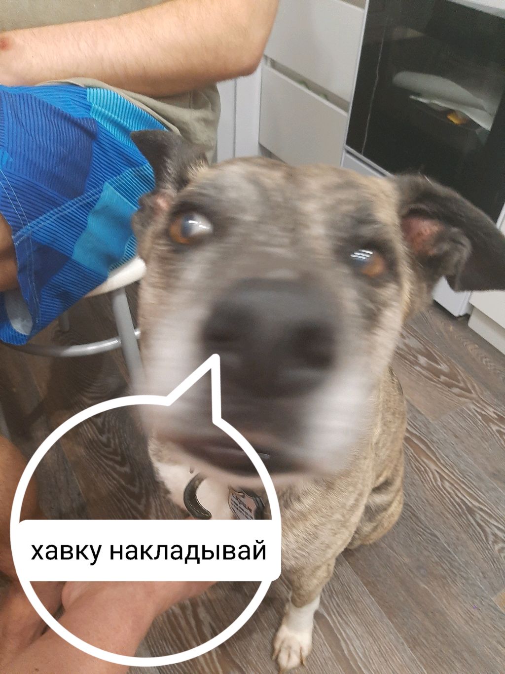 Рассказывай о том что делала сегодня