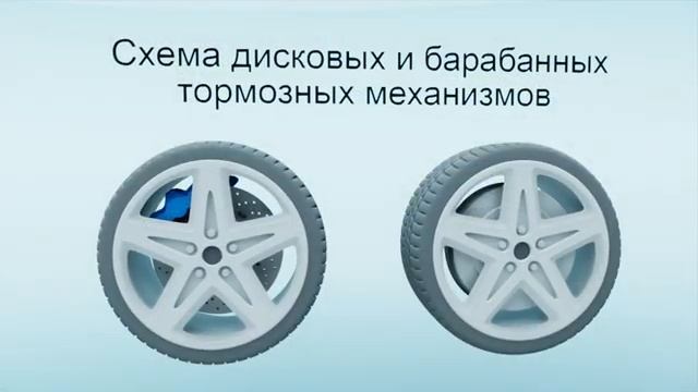 Урок 3.1 Предупреждающие знаки ПДД 2025