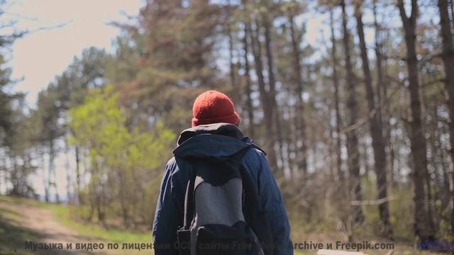 Этот клип уничтожит стресс и вернёт вкус к жизни - An_Ocytocin_Problem -- Koi-discovery -- Omega