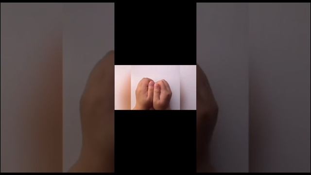 petal_20250615_114931.mp4