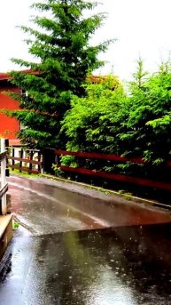 Момент истины