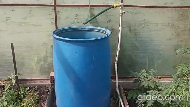 Дождь Ночью БЫЛ, дела сделаны , Обзор по Участкам,  две грядки под Тыкву, Сортовая Малина приросла