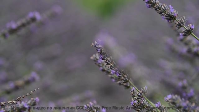 Кадры, снятые через призму чёрной дыры - технологии будущего! - Even After All These Years -- Holizn