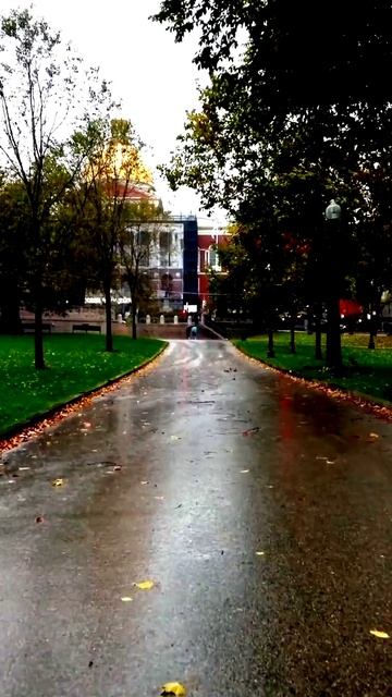 Всё, что попало в объектив