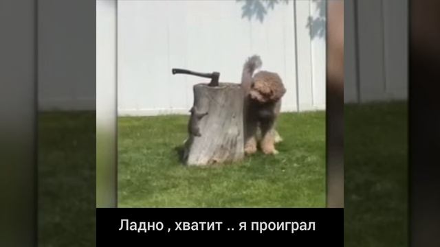 АТАС .. НАШИХ БЬЮТ