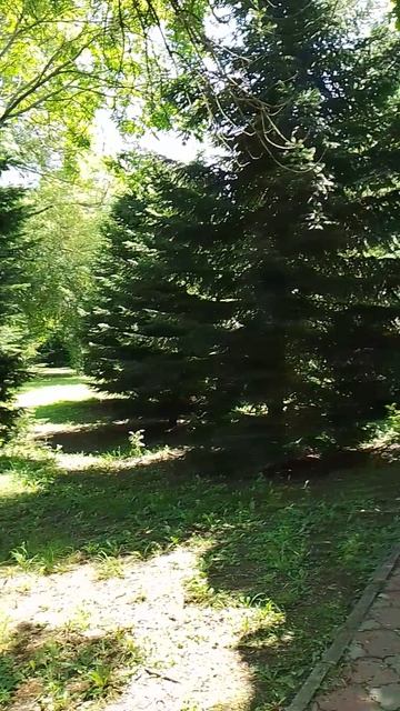 Горячий ключ
