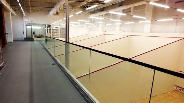 Squash клуб Gladis